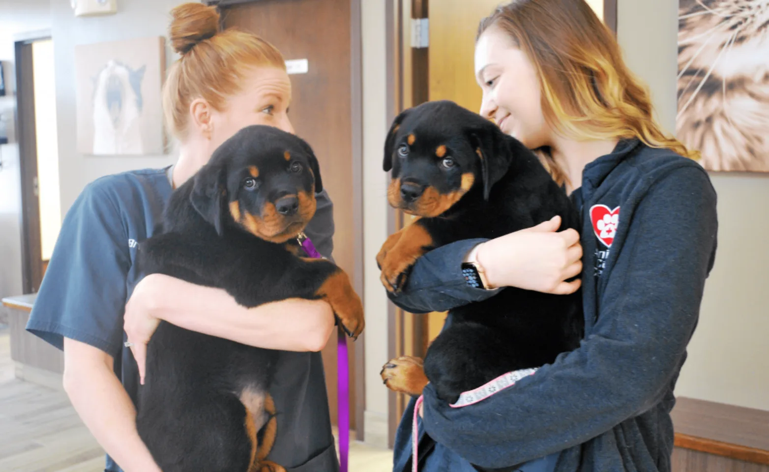 2 Veterinary Staff members holding two puppies at Animal Care Center of Plainfield